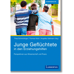 Junge Geflüchtete in den Erziehungshilfen